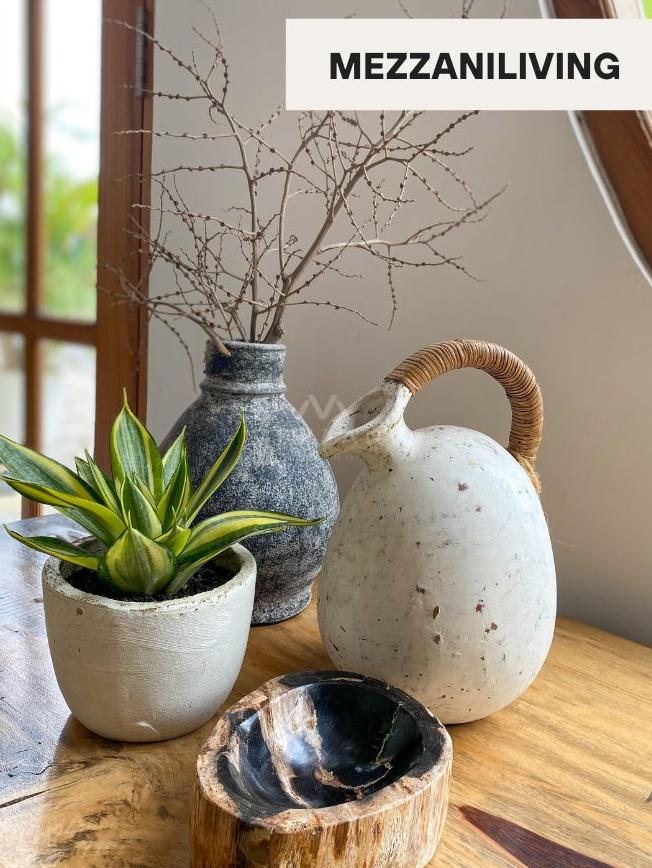 Fossil Ashtray By Mezzani Living